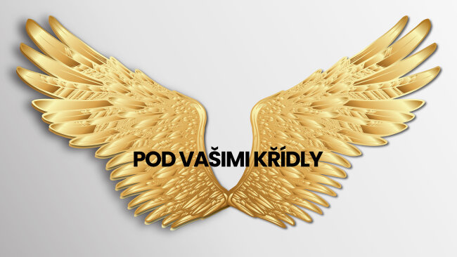 banner 1980x1080 - Pod vašimi křídly 4